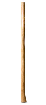 Natural Finish Didgeridoo (TW964)